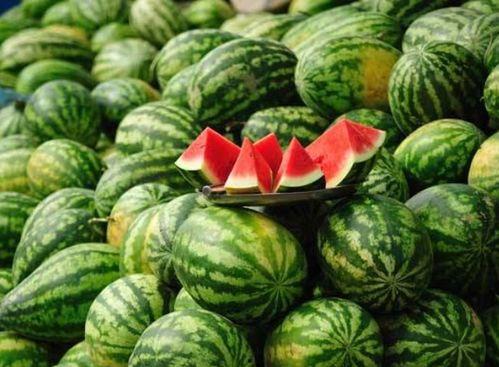 西瓜爆料网红炒作视频,网红炒作视频揭秘,真相令人咋舌 第2张 西瓜爆料网红炒作视频,网红炒作视频揭秘,真相令人咋舌 第2张